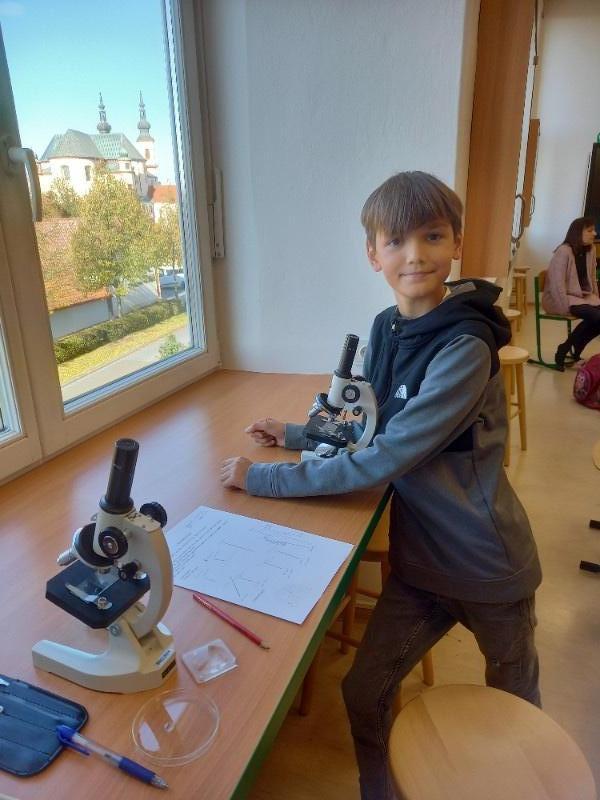 Laboratorní práce v přírodopisu 7. ročníku