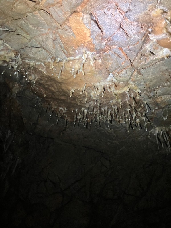 Exkurze deváťáků do Sloupsko-šošůvských jeskyní a do Jaderné elektrárny Dukovany Exkurze deváťáků do Sloupsko-šošůvských jeskyní a do Jaderné elektrárny Dukovany