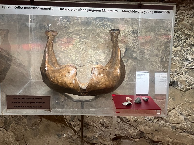 Exkurze deváťáků do Sloupsko-šošůvských jeskyní a do Jaderné elektrárny Dukovany Exkurze deváťáků do Sloupsko-šošůvských jeskyní a do Jaderné elektrárny Dukovany