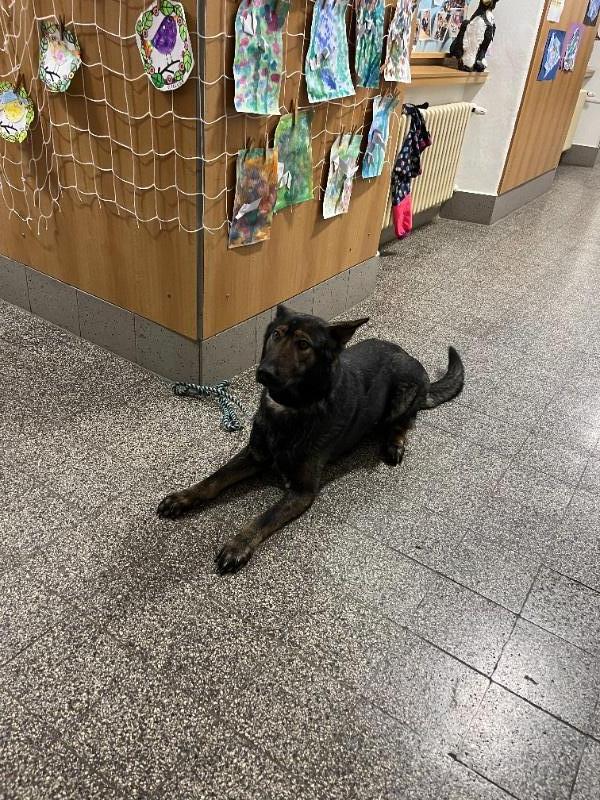 Koumáci a rodiče v akci Koumáci a rodiče v akci