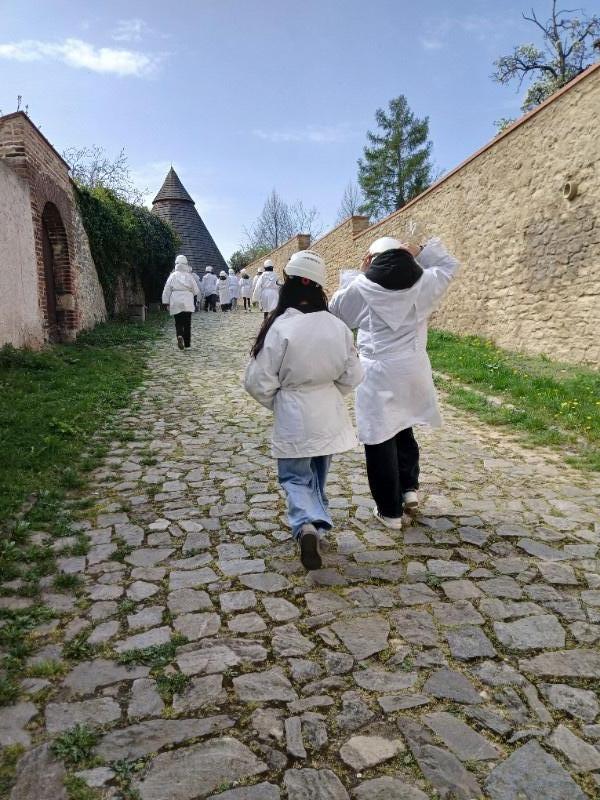 Dějepisná exkurze do Kutné Hory Dějepisná exkurze do Kutné Hory