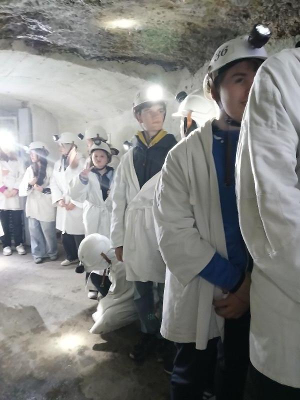 Dějepisná exkurze do Kutné Hory Dějepisná exkurze do Kutné Hory