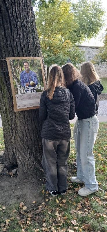 VÝSTAVA NA STROMECH OPĚT V LITOMYŠLI: POZNEJTE SVĚT GHANSKÉHO KAKAA VÝSTAVA NA STROMECH OPĚT V LITOMYŠLI: POZNEJTE SVĚT GHANSKÉHO KAKAA