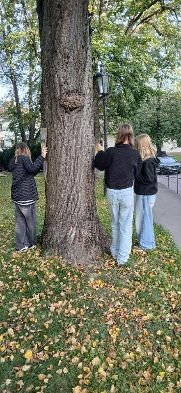 VÝSTAVA NA STROMECH OPĚT V LITOMYŠLI: POZNEJTE SVĚT GHANSKÉHO KAKAA VÝSTAVA NA STROMECH OPĚT V LITOMYŠLI: POZNEJTE SVĚT GHANSKÉHO KAKAA