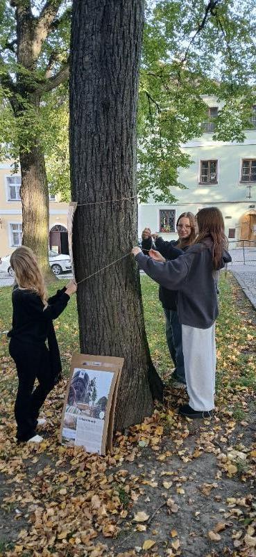 VÝSTAVA NA STROMECH OPĚT V LITOMYŠLI: POZNEJTE SVĚT GHANSKÉHO KAKAA VÝSTAVA NA STROMECH OPĚT V LITOMYŠLI: POZNEJTE SVĚT GHANSKÉHO KAKAA