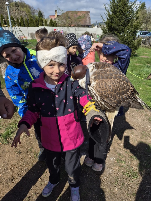 Exkurze Boršov Exkurze Boršov