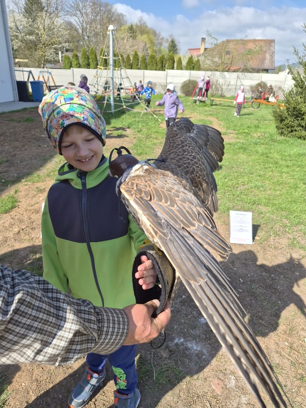 Exkurze Boršov Exkurze Boršov