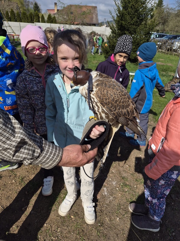 Exkurze Boršov Exkurze Boršov