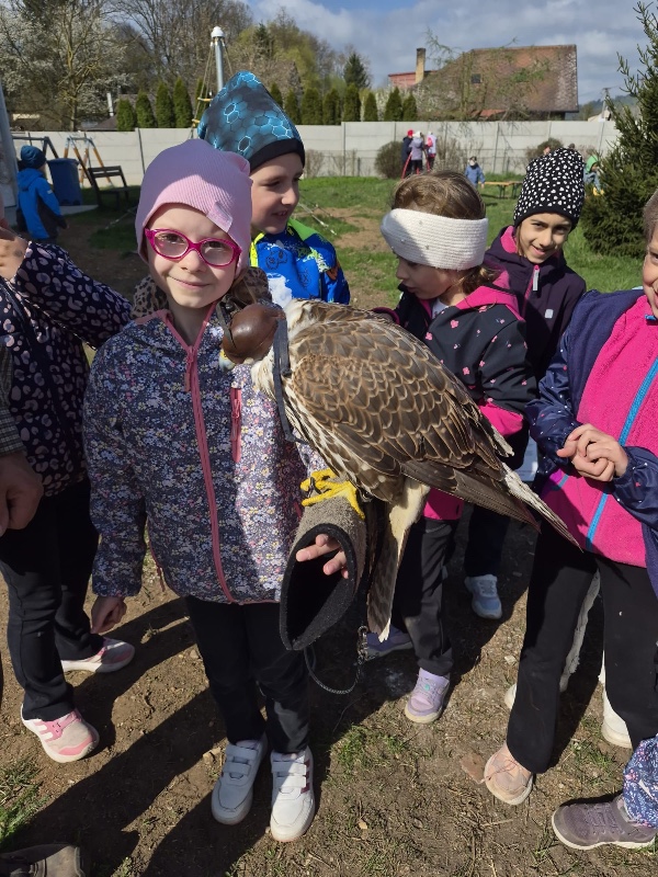 Exkurze Boršov Exkurze Boršov