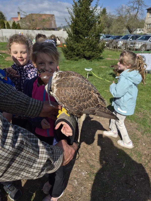 Exkurze Boršov Exkurze Boršov