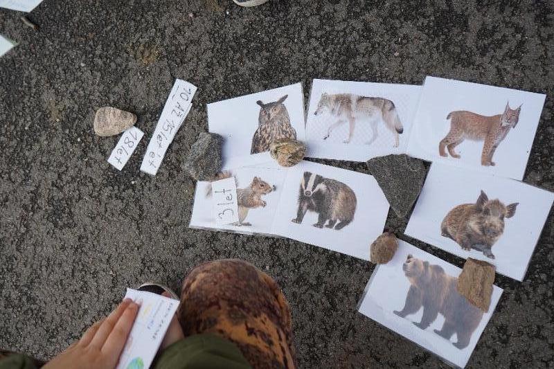 Aktivity ke Dni Země Aktivity ke Dni Země