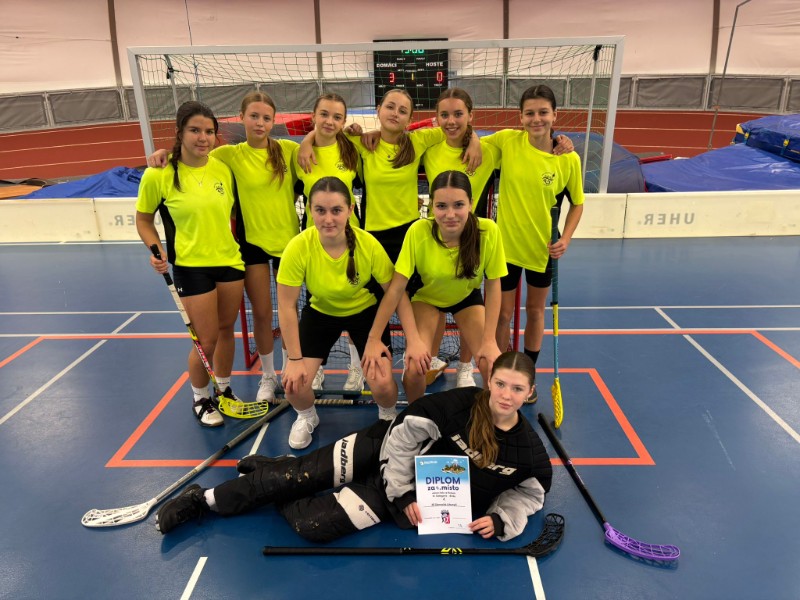 Okresní kolo florbalu dívek Okresní kolo florbalu dívek