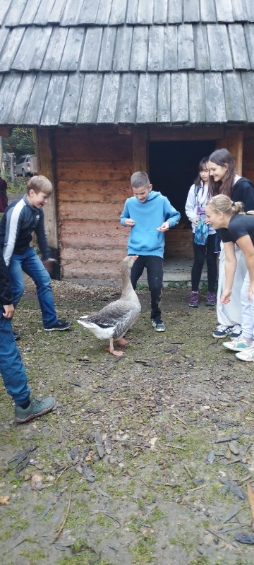 Dějepisná exkurze šesťáků na Křivolík Dějepisná exkurze šesťáků na Křivolík