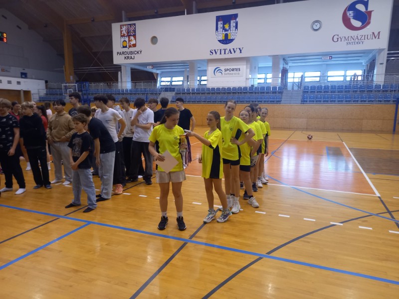 Třetí místo v okresním kole basketbalu Třetí místo v okresním kole basketbalu